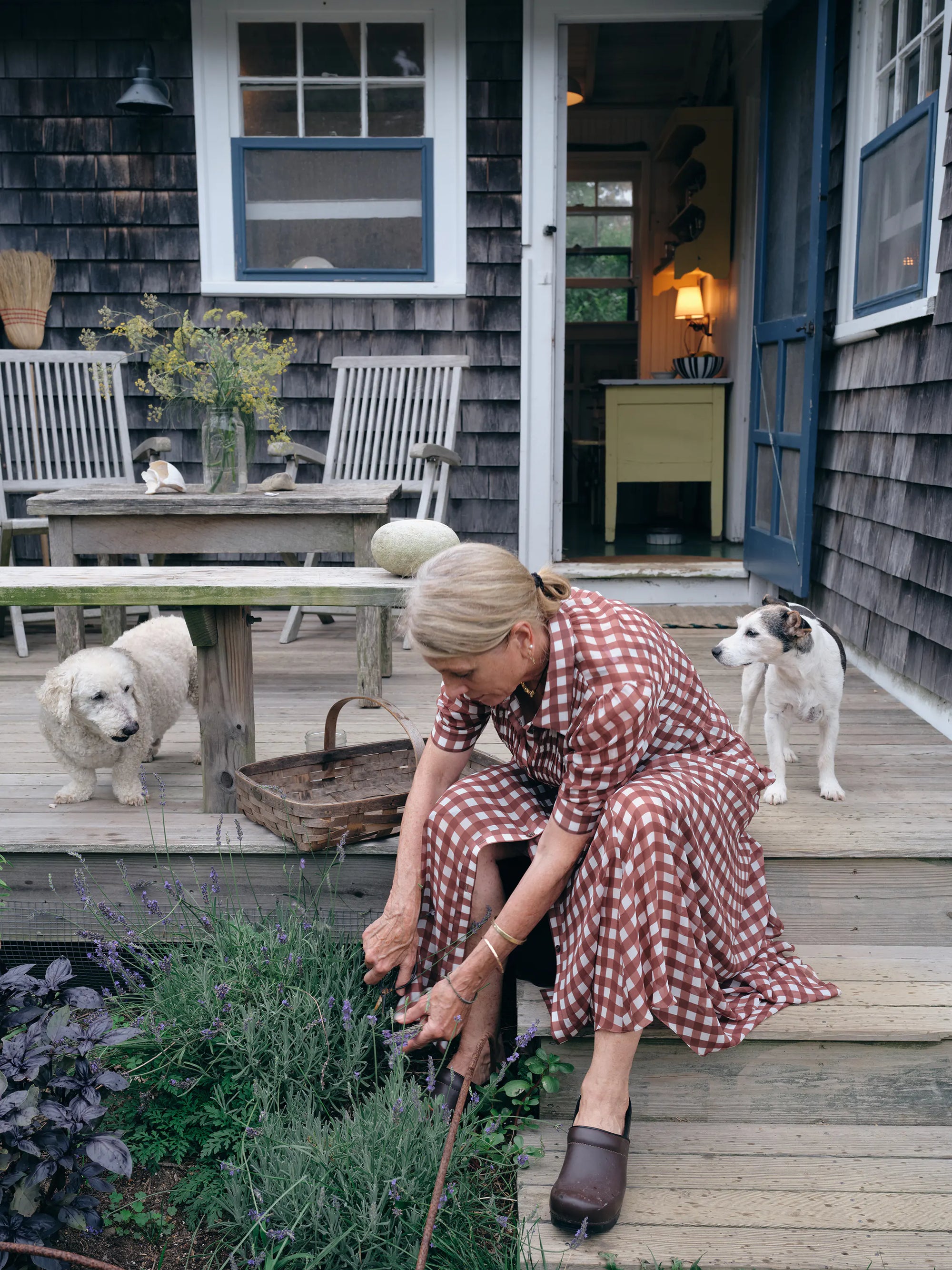 Phoebe Cole-Smith, Chef, Connecticut