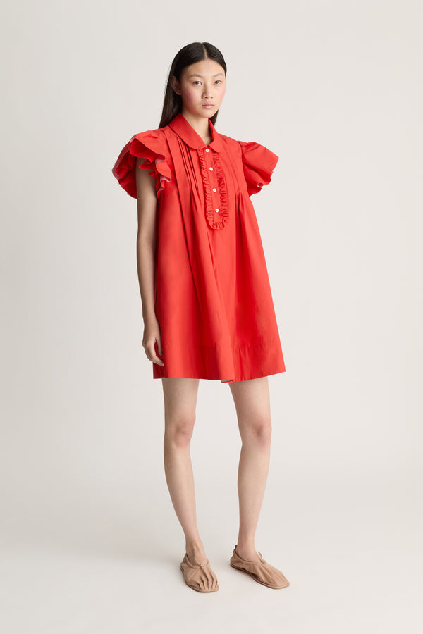 Charlotte Mini Dress