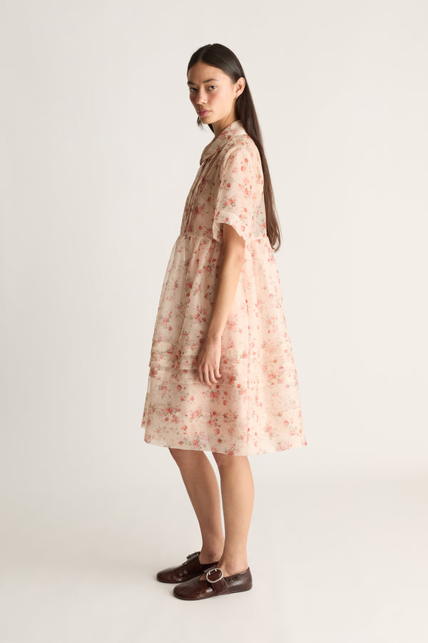 Emily Organza Mini Dress