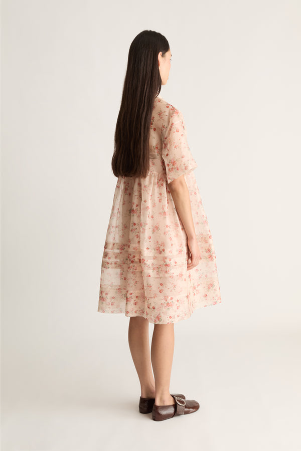 Emily Organza Mini Dress