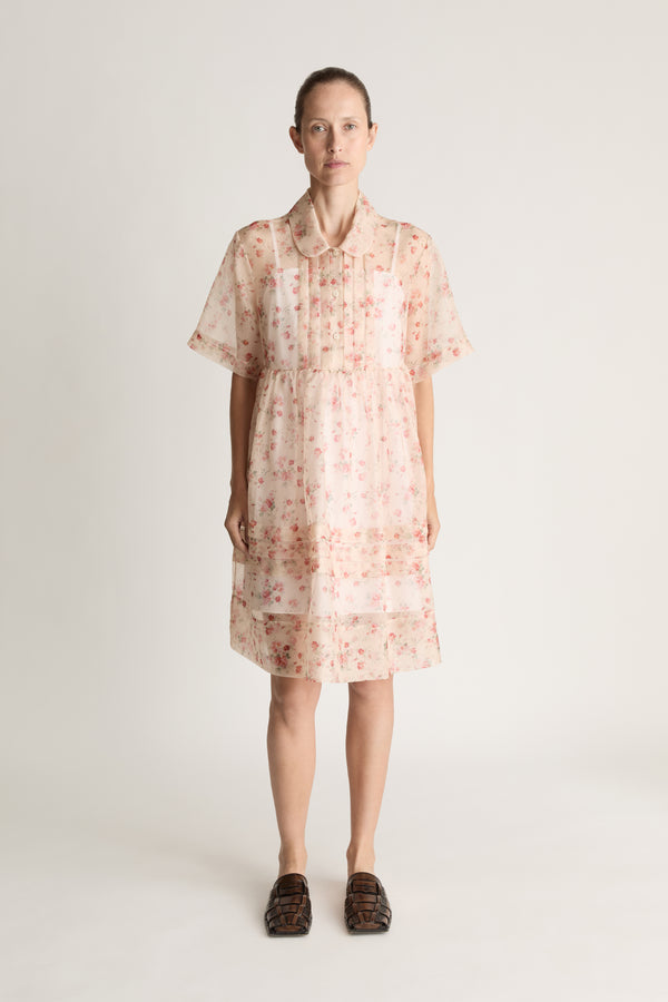 Emily Organza Mini Dress