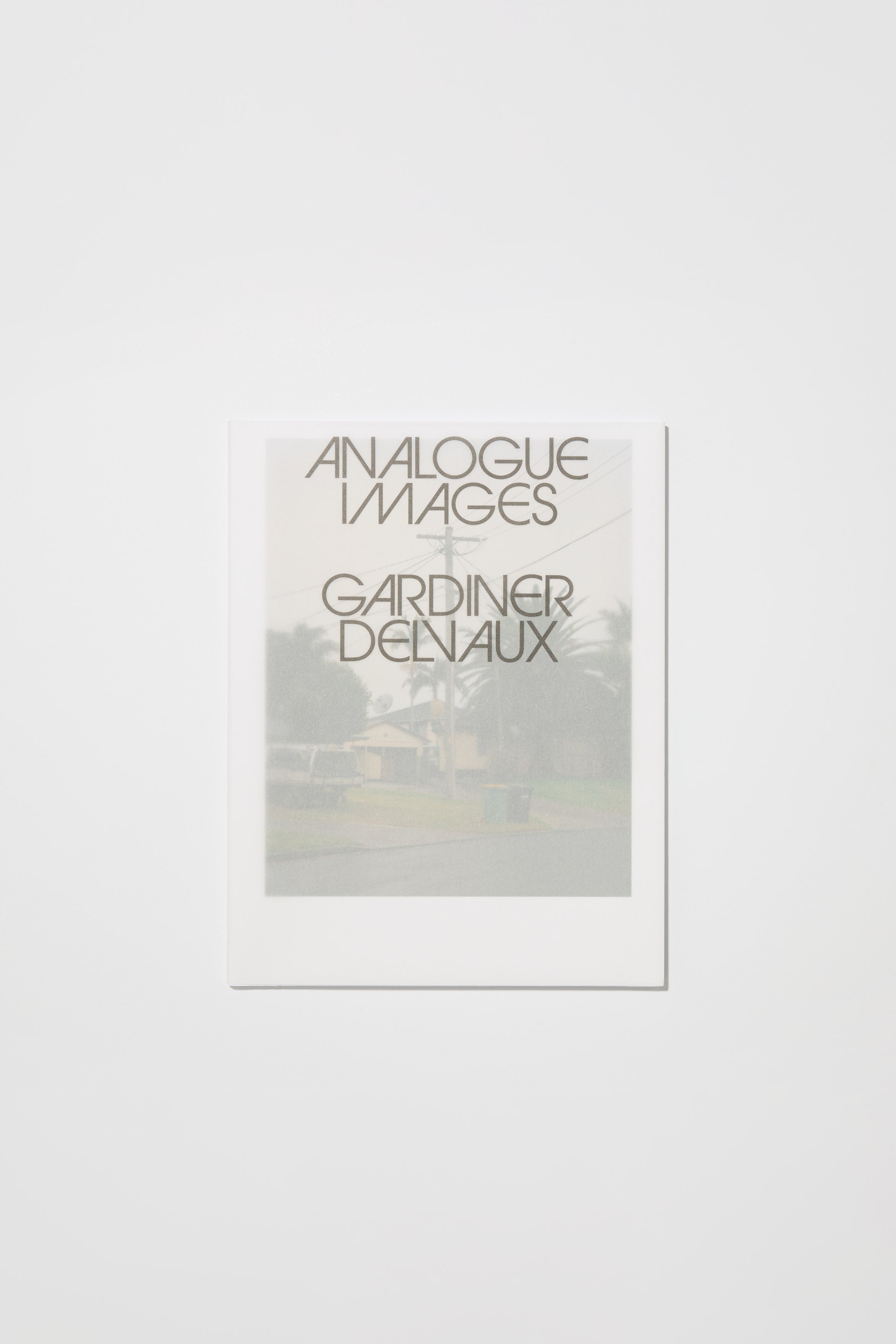 Analogue Images Gardner Delvaux