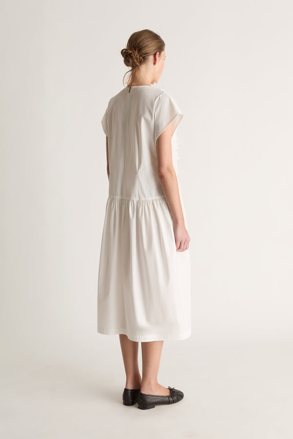Back view of a white midi dress with cap sleeves, a back neck opening and gathered skirt.